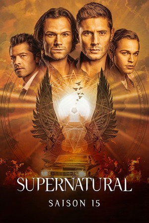 Saison 15