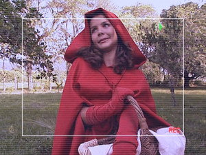 O Picapau Amarelo (2)
