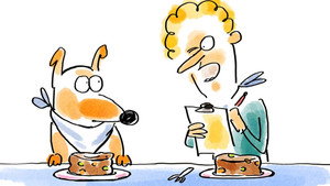 Dog Food