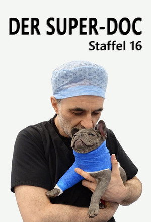 Saison 16