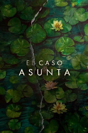 Limited Series