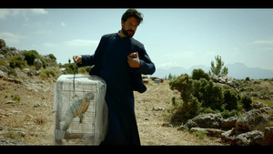 Épisode 5