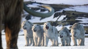 Chapitre 8 : La glace et le feu