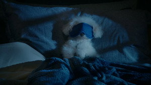 Épisode 9
