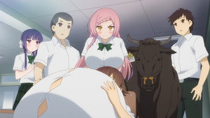Épisode 7