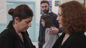 Épisode 196