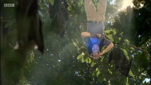 Épisode 12