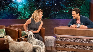 Épisode 11