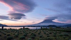 Kasagumo: Guardian of Mount Fuji