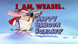 Happy Baboon Holidays