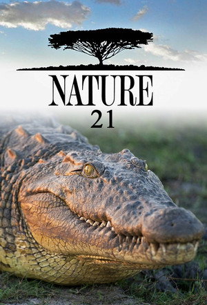 Season 21