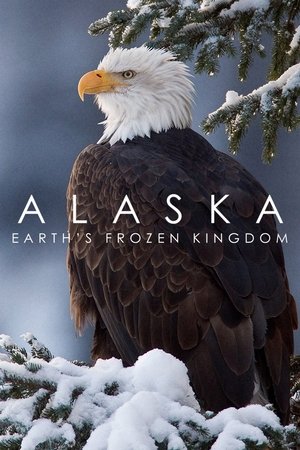 Miniseries
