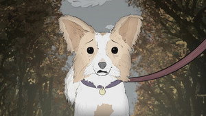 Chiens (1)