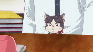 Épisode 11