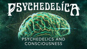 Les psychédéliques et la conscience