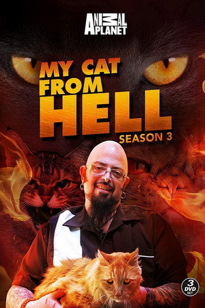Saison 3