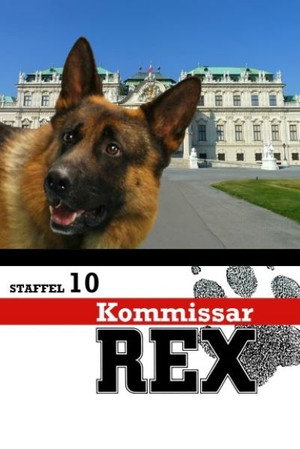 Saison 10
