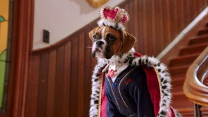 Épisode 15