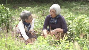 Akemi and Satsuki: Shojin Ryori, Buddhist Cuisine