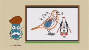 Épisode 11