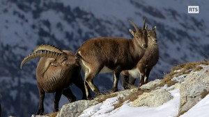 L'Hiver dans les Grisons