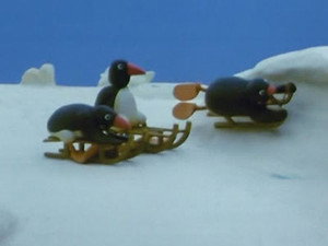 La luge de Pingu