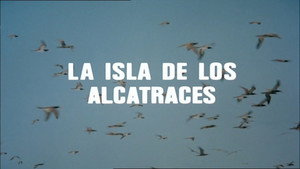 Épisode 16