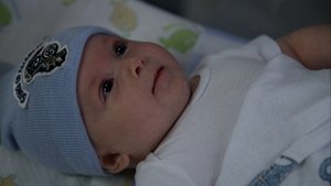 The Sleep of Babies
