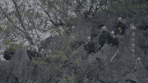 Épisode 5