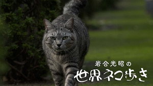 Episode 145
