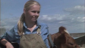 They Shoot Cows? (1)