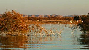 Le Lac Nasser, l'eau au coeur du désert
