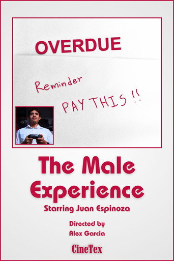 The Male Experience