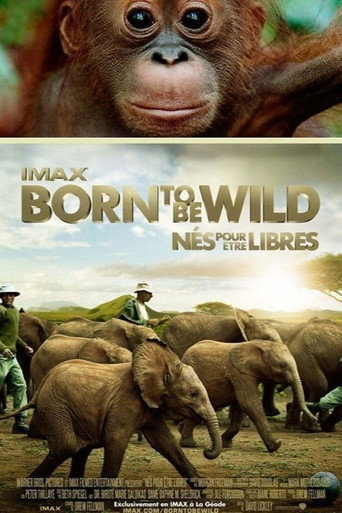 Born to Be Wild