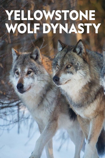 Yellowstone Wolf Dynasty