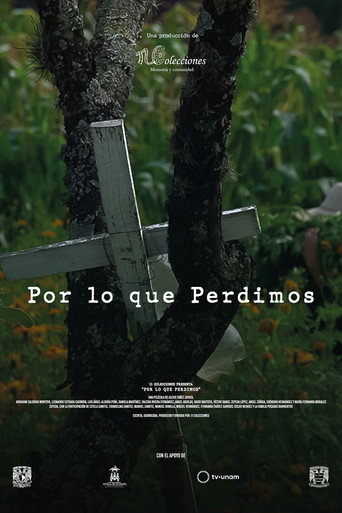 Por lo que Perdimos