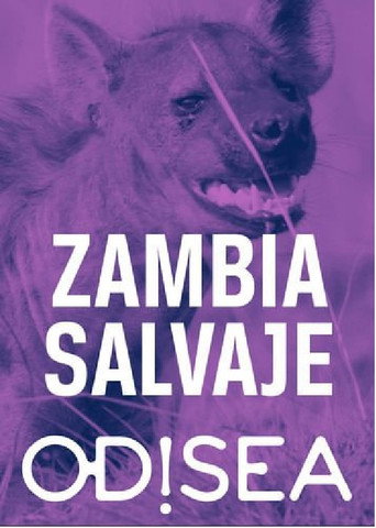 Tales from Zambia