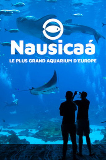 Nausicaa, le plus grand aquarium d'Europe