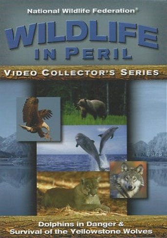 Wildlife in Peril
