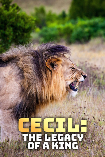 Un lion né pour régner