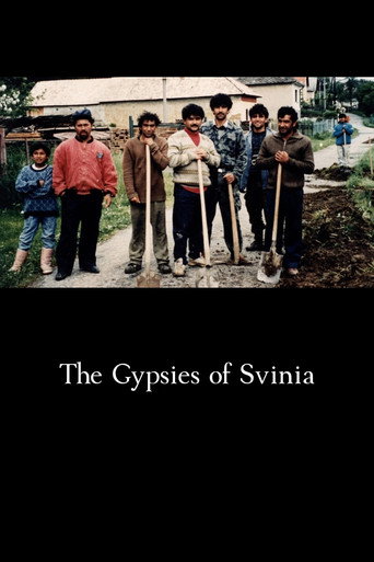 The Gypsies of Svinia