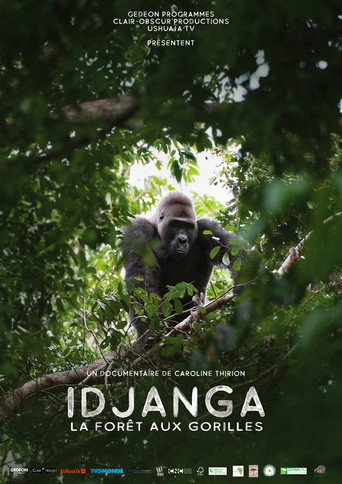 Idjanga, la forêt aux gorilles