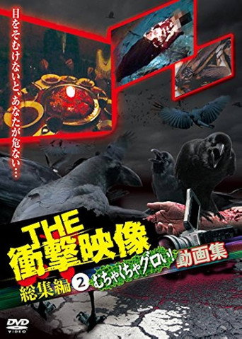 THE 衝撃映像 総集編（2）むちゃくちゃグロい！動画集