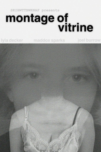 Montage of Vitrine