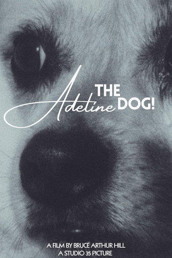Adeline The Dog!