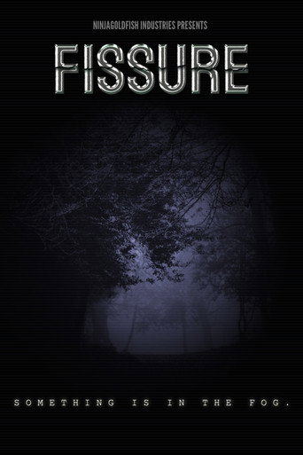 FISSURE