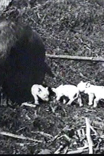 Mamma's Pets