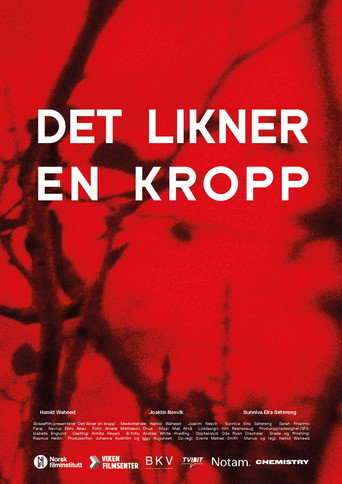 Det likner en kropp