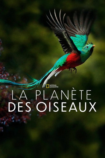 Planète des oiseaux