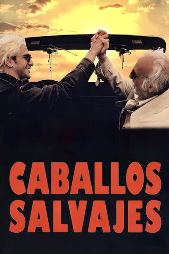 Chevaux Sauvages
